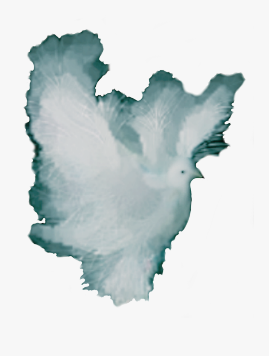 Dove Fantasy White Night Flight Clip Arts - Illustration, Transparent Clipart