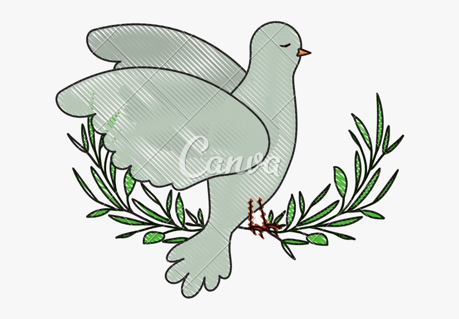 Dove Clipart Side View - Illustration, Transparent Clipart