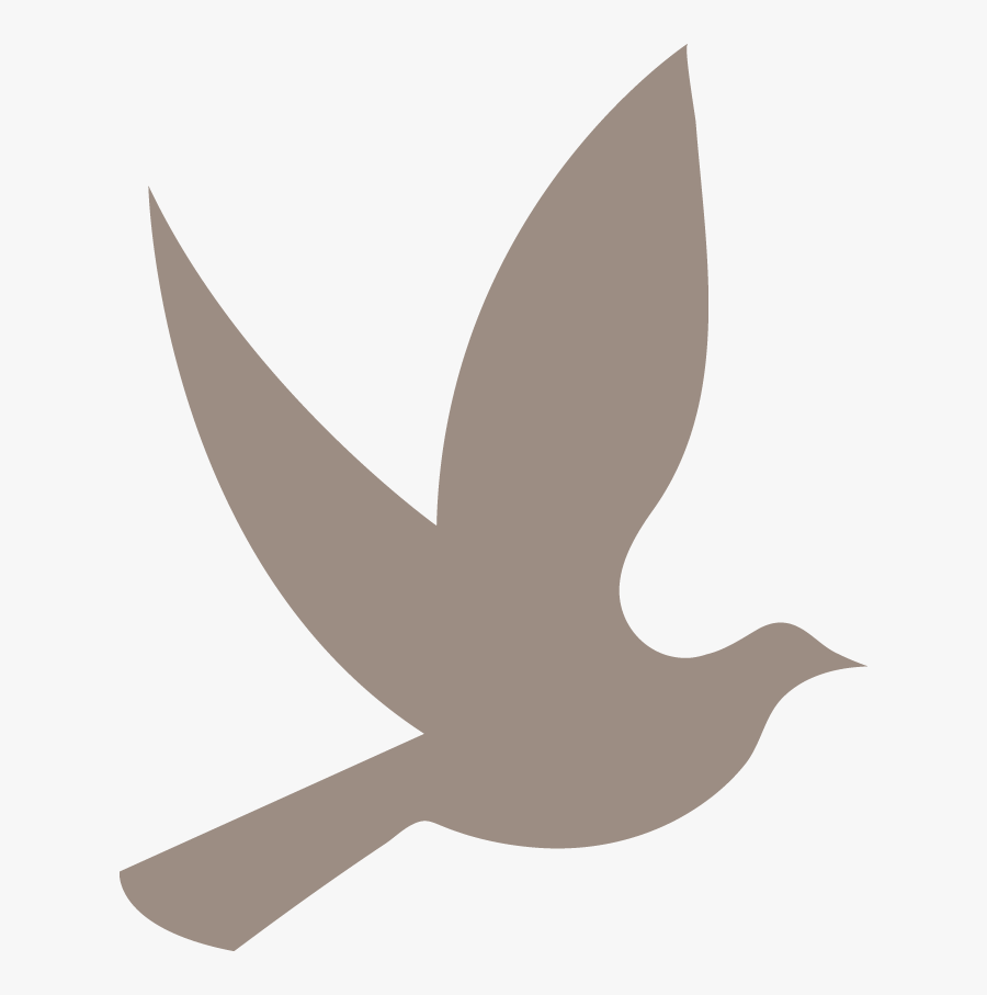 Clip Art Dove, Transparent Clipart