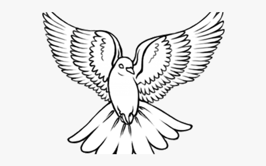 Dove Drawing For Tattoo, Transparent Clipart