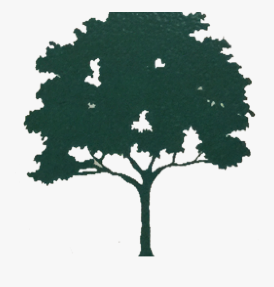 African Tree Clip Art , Png Download - African Tree Clip Art, Transparent Clipart