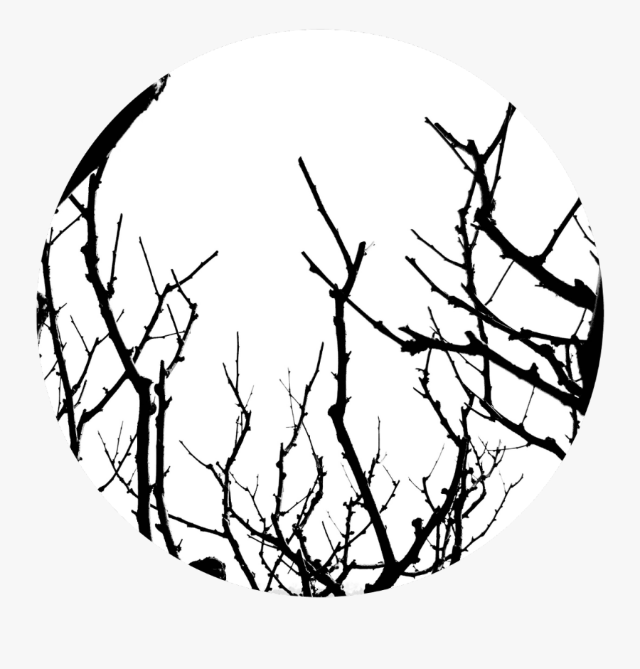#wood #woods #twigs #black #white #blackandwhite #circle - Circle, Transparent Clipart