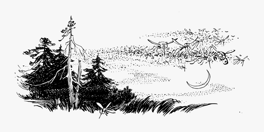 Moskitos In The Big - Cartoon, Transparent Clipart