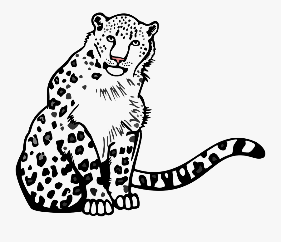 Transparent Leopard Clipart - Snow Leopard Images Outline, Transparent Clipart