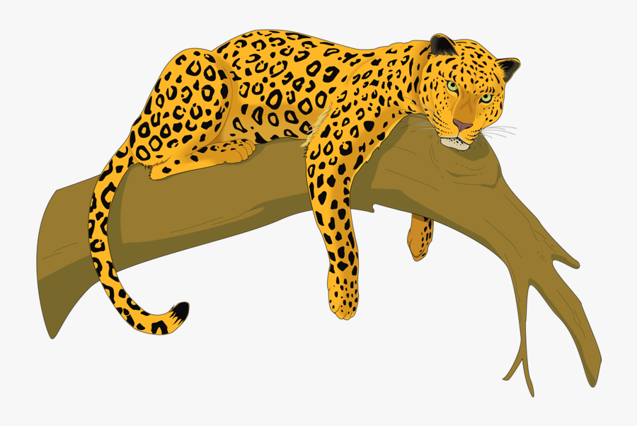 Amur Leopard Clip Art, Transparent Clipart