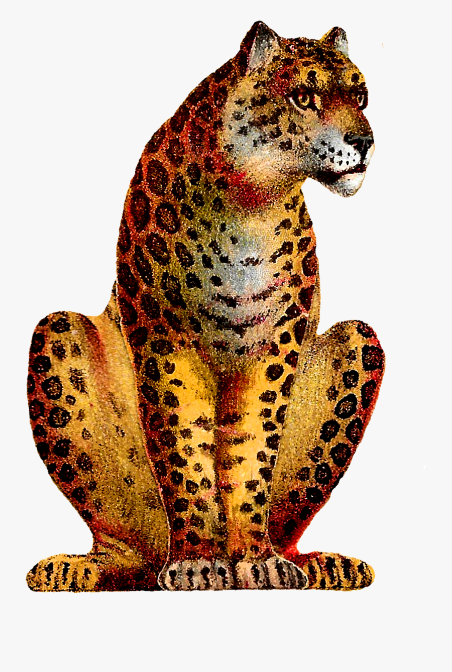 Leopard Animal Big Cat Image Transfer Illustration - Circus Leopard, Transparent Clipart