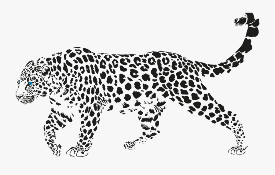 Clouded-leopard - Leopard Black And White Vector, Transparent Clipart