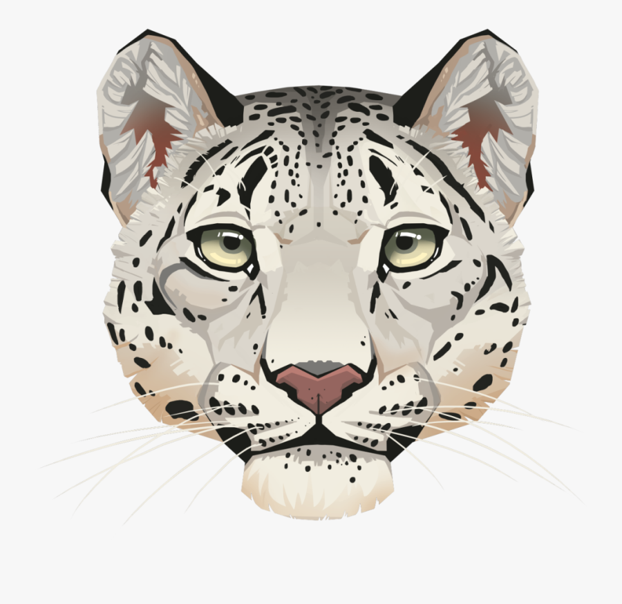 Leopard Face Png Background Image - Snow Leopard Face Drawing, Transparent Clipart