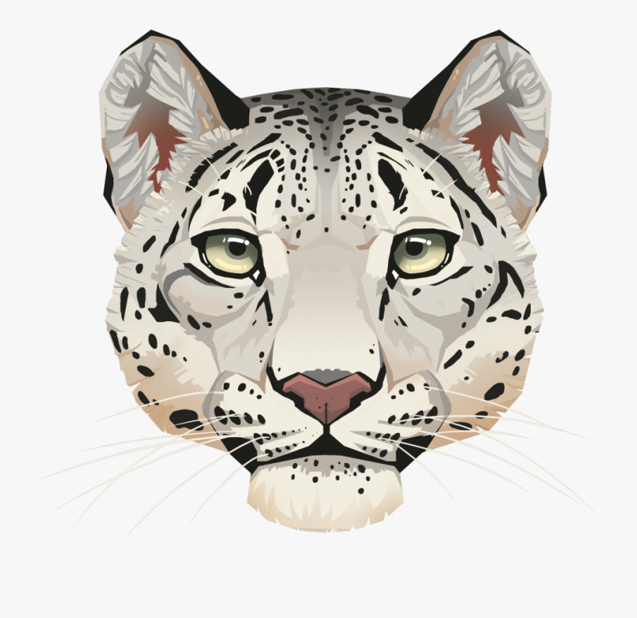 Leopard Face Png Background Image - Snow Leopard Face Drawing , Free