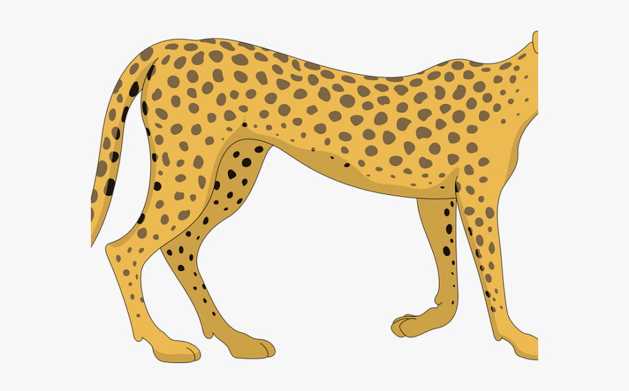 Cartoon Cheetah Png, Transparent Clipart