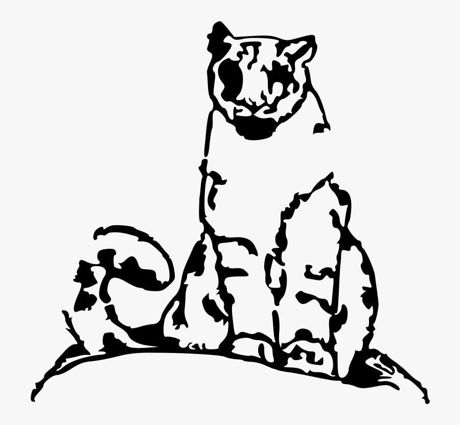 Leopard, Transparent Clipart