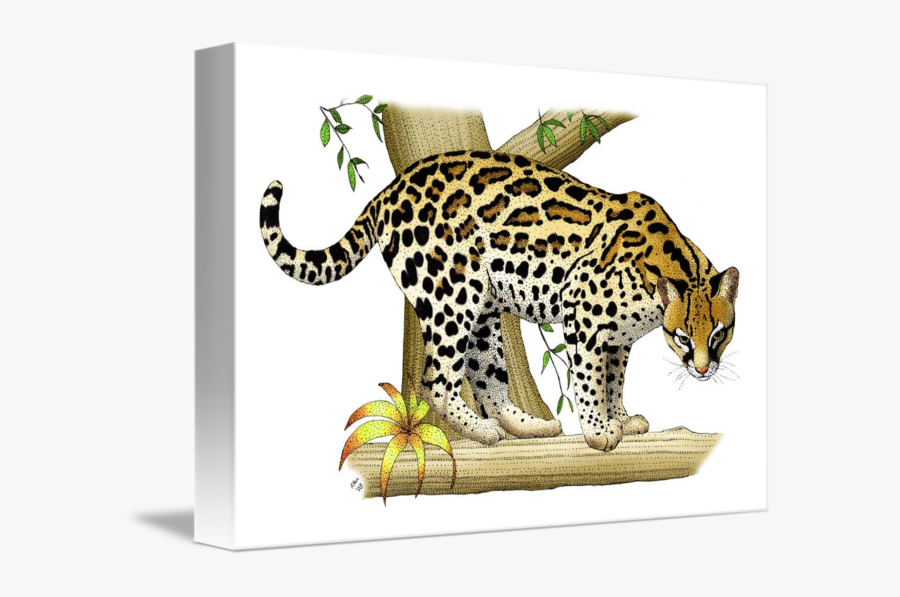 Cute Ocelot Cliparts Free Download Clip Art - African Leopard, Transparent Clipart