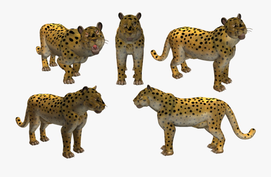 Transparent Leopard Png - Snow Leopard Clipart, Transparent Clipart