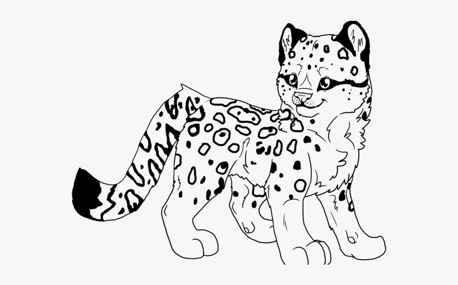 Baby Leopard Coloring Page, Transparent Clipart