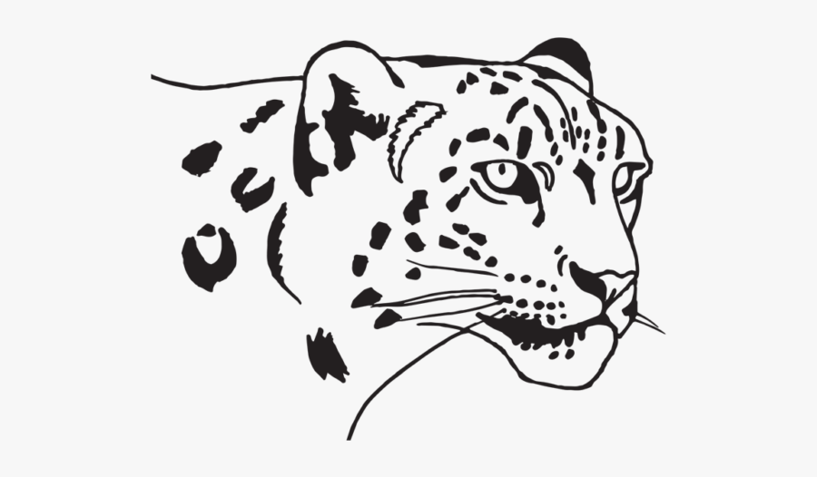 Snow Leopard Icon Png, Transparent Clipart