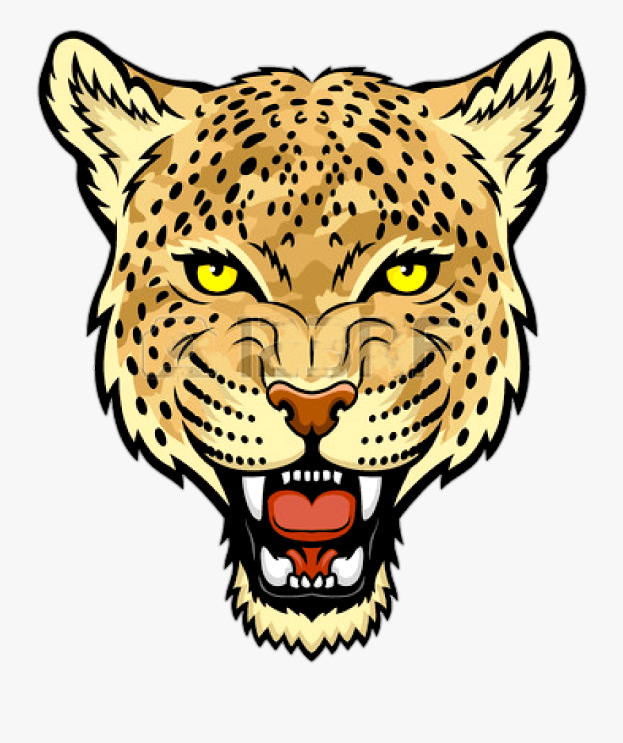 Amur Leopard Face Drawing Clipart Png Download Jaguar Png