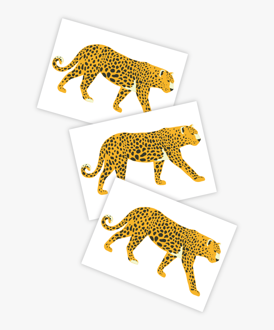 Leopard"
 Class= - Leopard, Transparent Clipart
