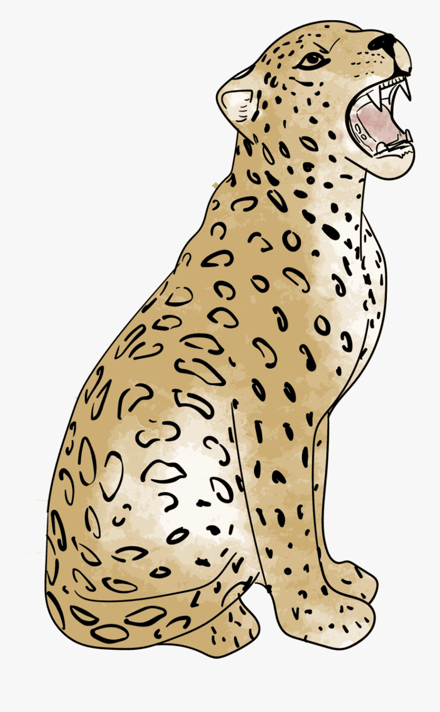 African Leopard, Transparent Clipart