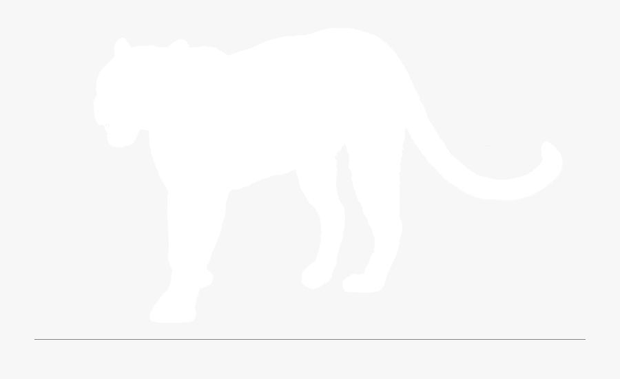 Elephant, Transparent Clipart