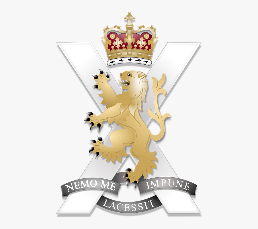 Transparent Soldier Salute Png - Cartoon, Transparent Clipart