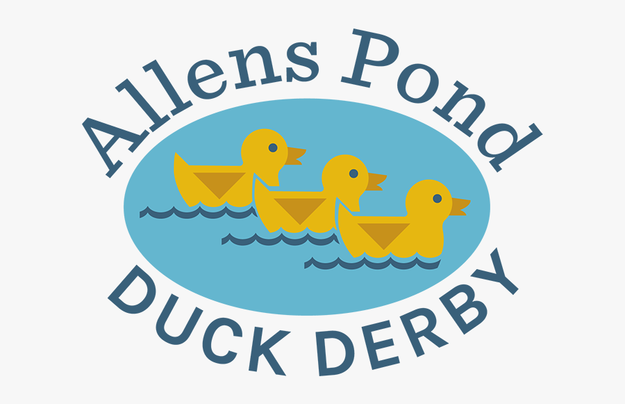 Allens Pond Duck Derby Logo - Duck, Transparent Clipart