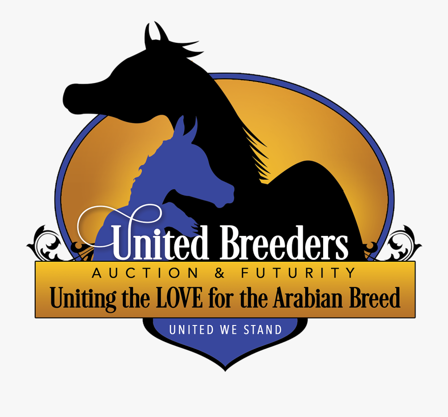 Graphic Design, Transparent Clipart