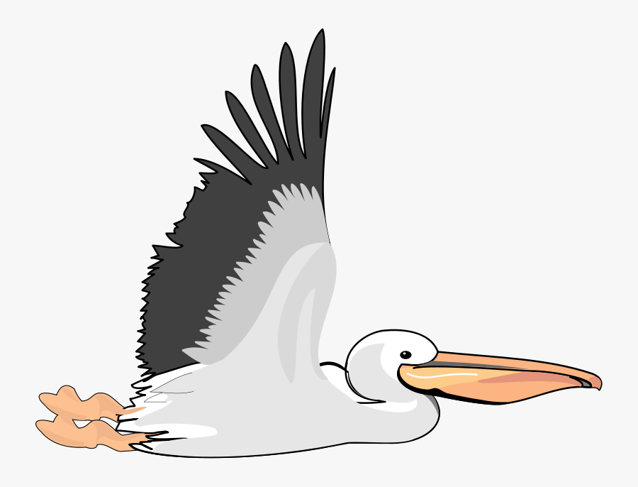Free Vector Bird - Pelican Clipart, Transparent Clipart