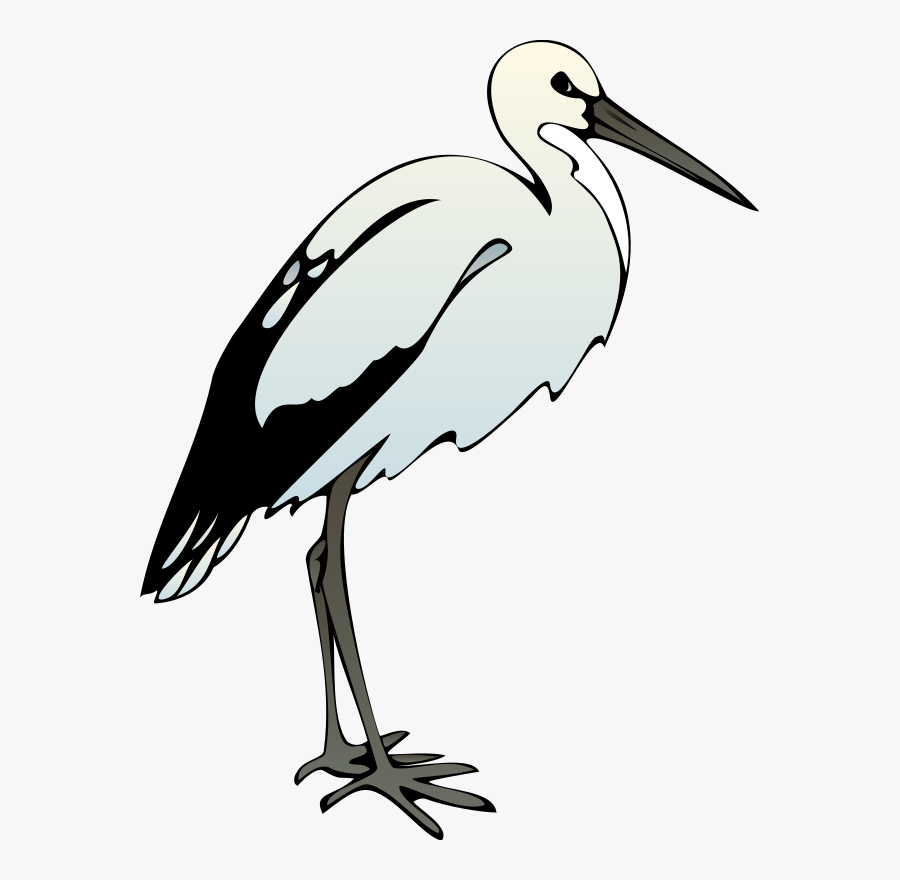 Bird 41 Free Vector / 4vector - Ibis Clipart, Transparent Clipart
