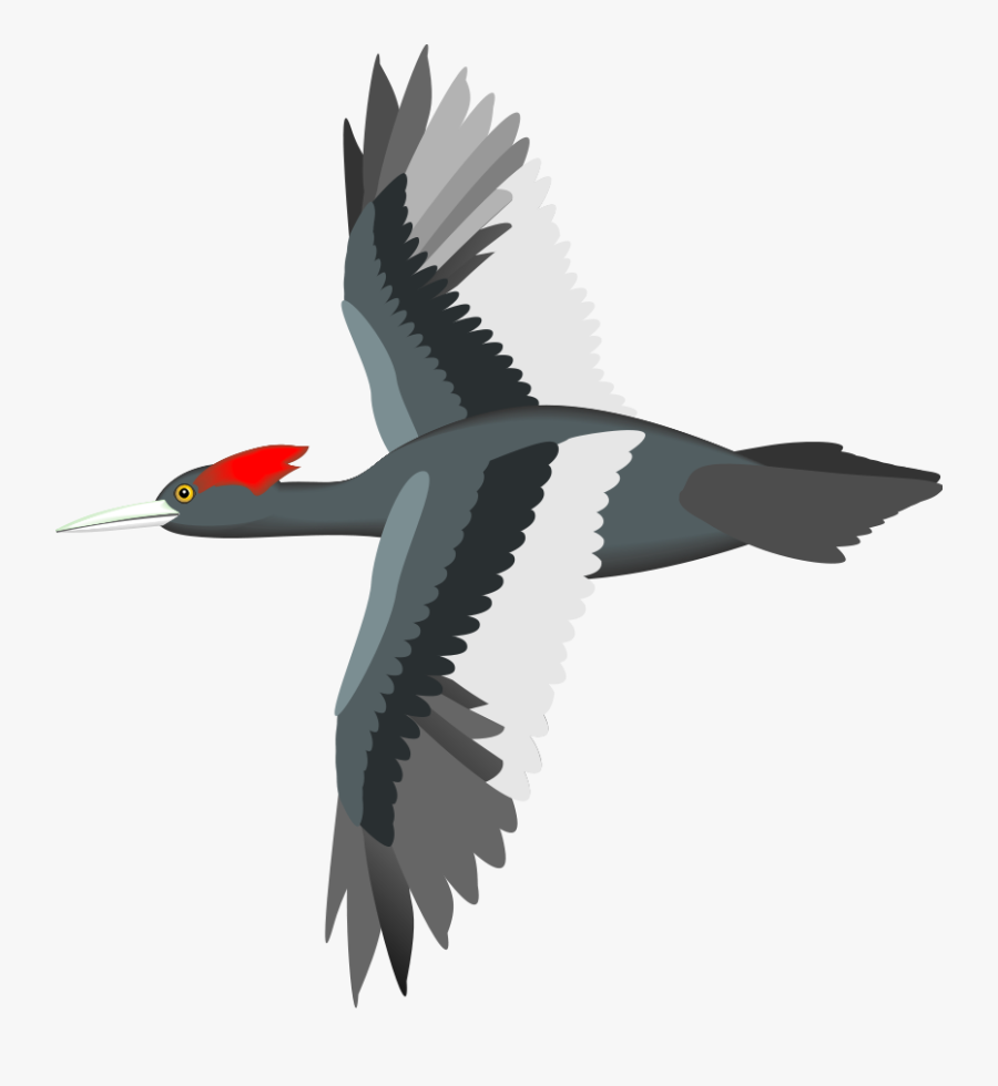 Flying Bird Clip Art At Clipart Library - Bird Vector Flying Gif, Transparent Clipart