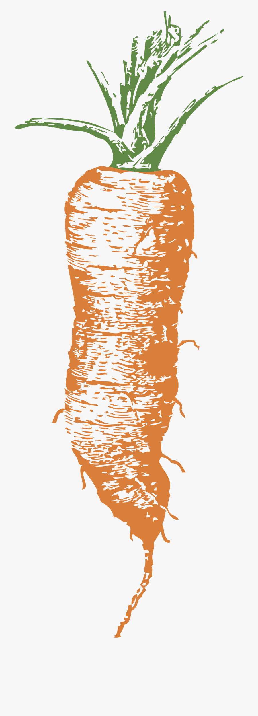 Carrot Illustrations, Transparent Clipart