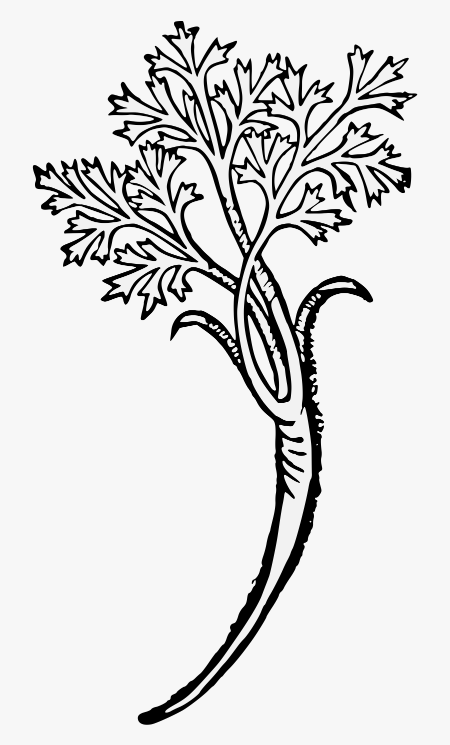 Clip Art, Transparent Clipart