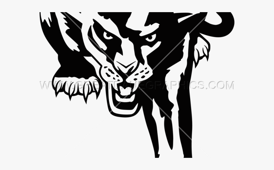 Drawings Of Carolina Panther, Transparent Clipart
