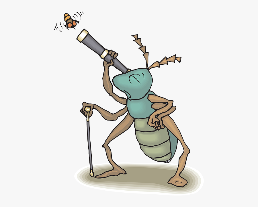 Cartoon, Telescope, Bug, Fly, Flying, Watching, Insect - Transparent Cartoon Png Telescope, Transparent Clipart