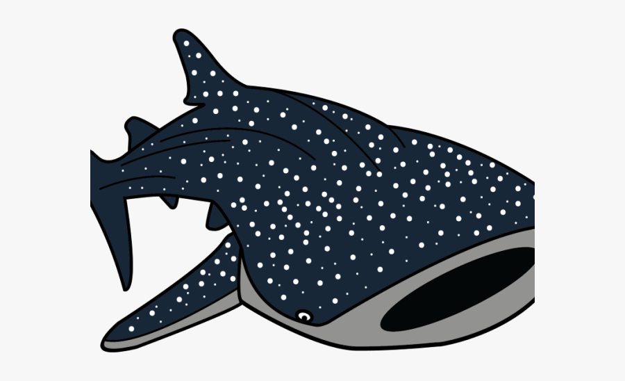Whale Shark Vector Png, Transparent Clipart
