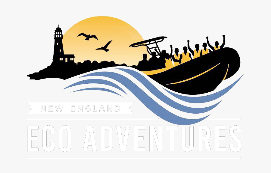 New England Eco Adventures - New England Icons Lighthouse, Transparent Clipart