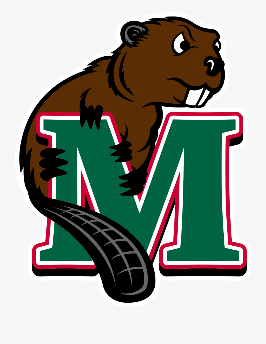 Lumberjack Clipart Beaver - Minot State University Beavers, Transparent Clipart