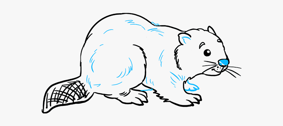 How To Draw Beaver - Easy Drawing Of A Beaver, Transparent Clipart