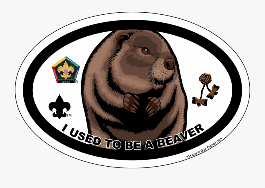 Wood Badge Critters Eagle, Transparent Clipart