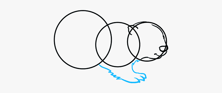 How To Draw Beaver - Circle, Transparent Clipart