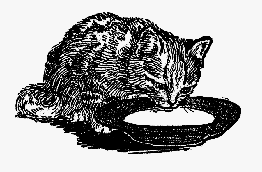 Cat Grabs Treat, Transparent Clipart