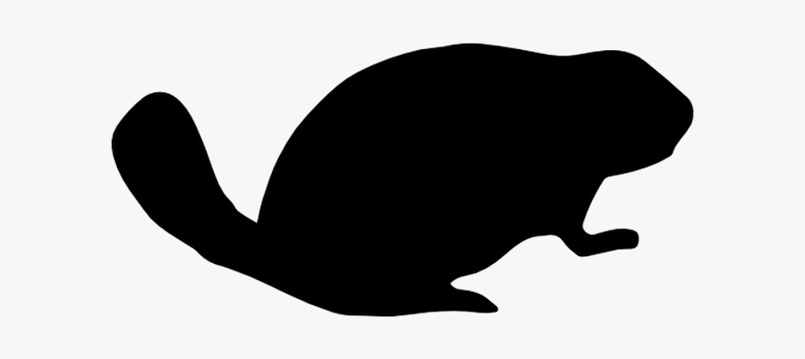 Beaver Png Image Background - Toad, Transparent Clipart