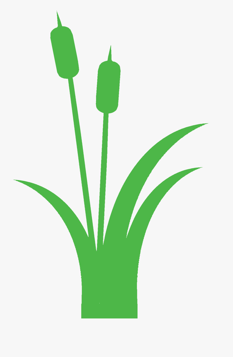 Green Cattails Clipart, Transparent Clipart