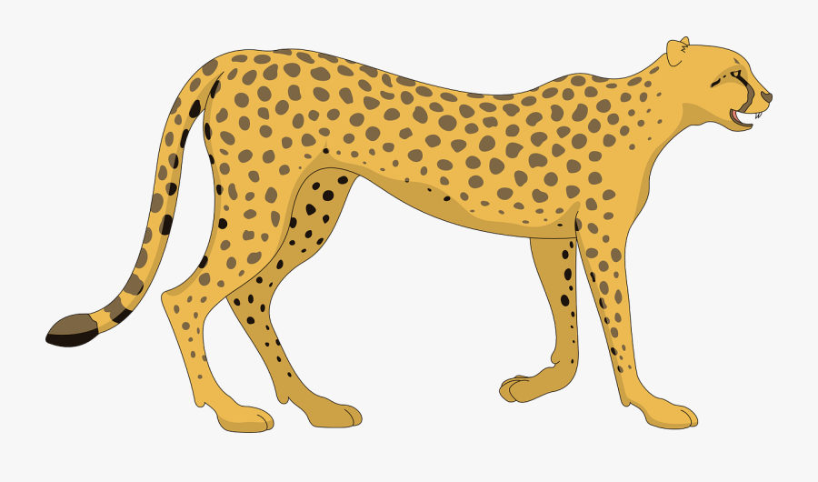 Cat, Cheetah, Walking, Animal, Tail, Spots, Paws, Spot - Cheetah Clipart, Transparent Clipart