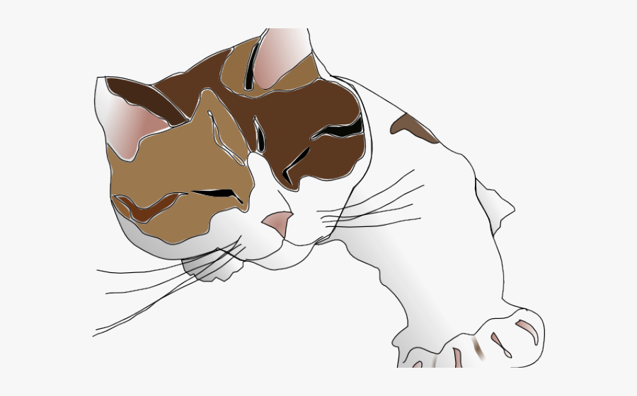 Cat, Transparent Clipart