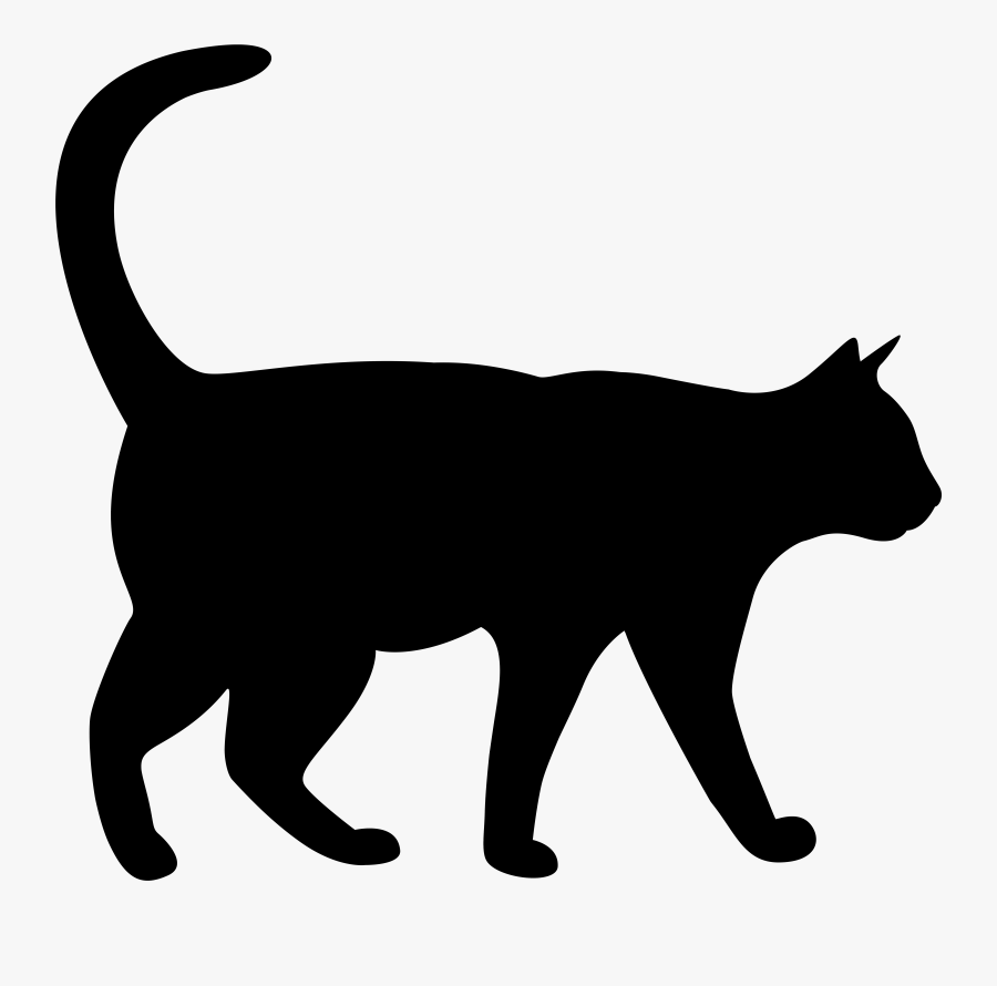 Curious Cat Cliparts, Transparent Clipart