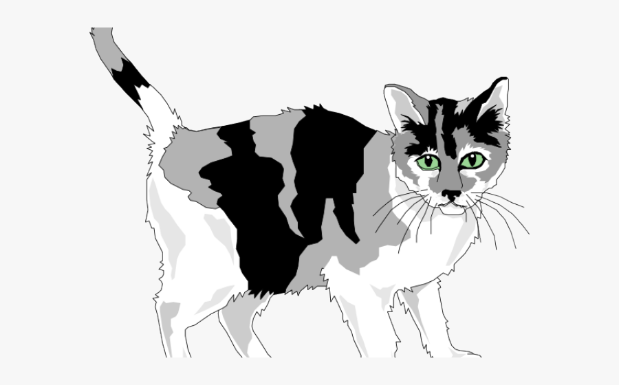 Kitten Clipart Gray Cat - Grey And White Cat Clipart, Transparent Clipart