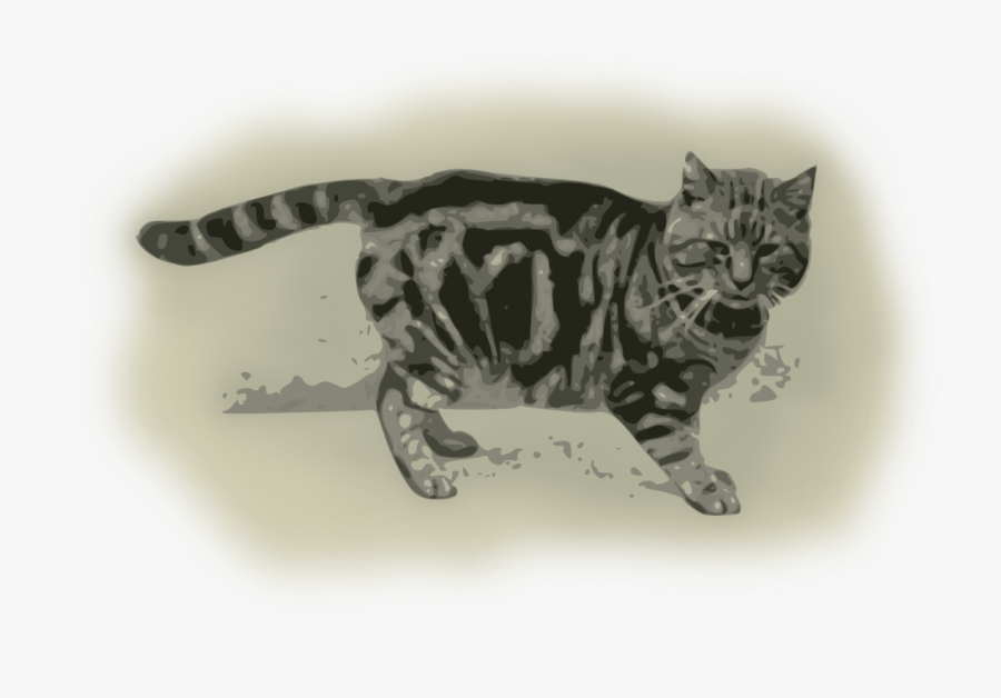 Felidae,bengal,tail - Grey And Black Tortoiseshell Cat, Transparent Clipart
