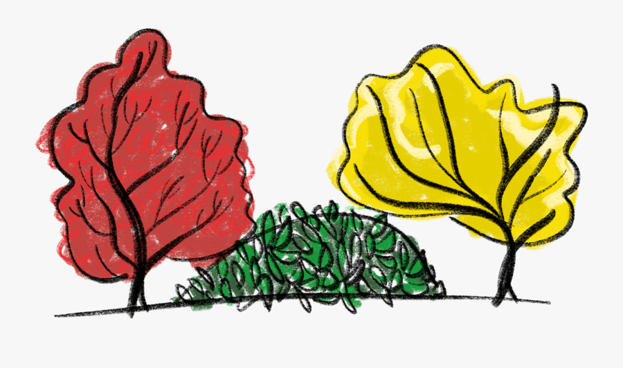 Site Empathy - Illustration, Transparent Clipart