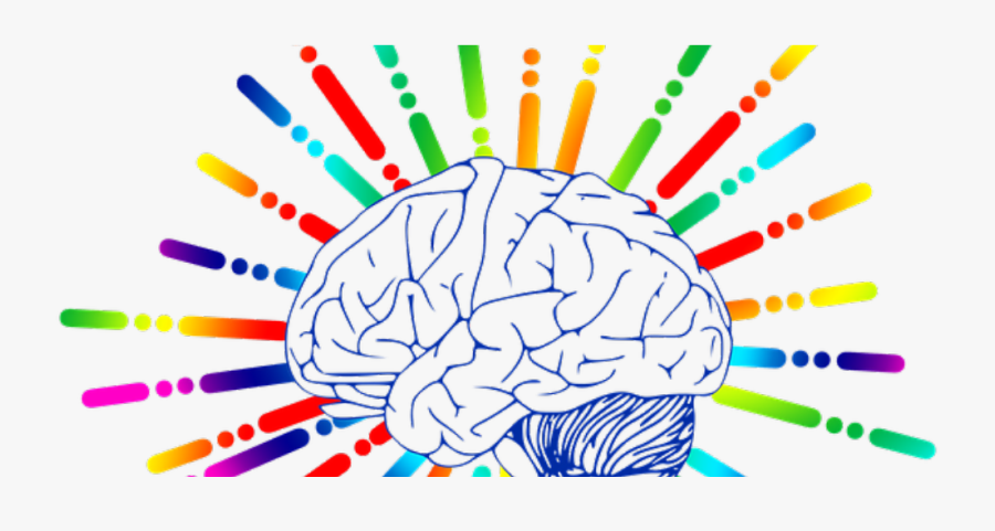 Neuroscience Of Empathy - Brain Clip Art, Transparent Clipart
