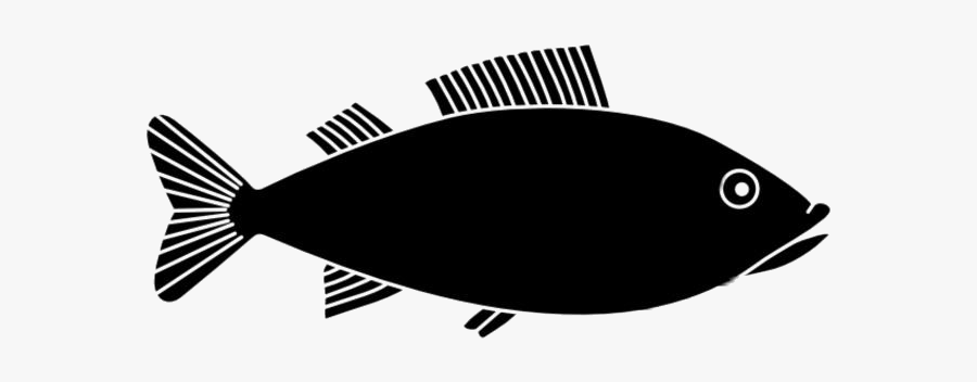 Fish Png Hd Images, Stickers, Vectors - 4th Of July Fish Fry, Transparent Clipart